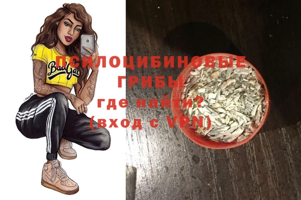 ГАЛЛЮЦИНОГЕННЫЕ ГРИБЫ Семилуки