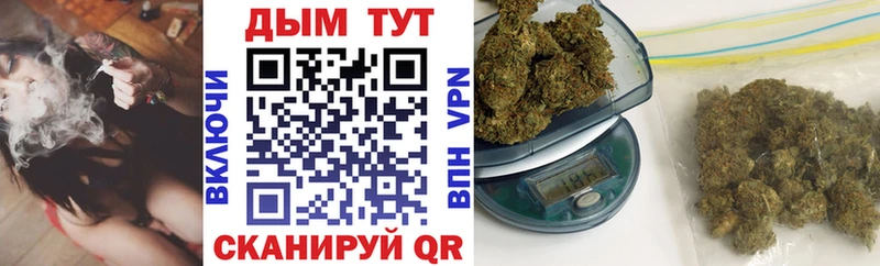 Бошки Шишки конопля  дарнет шоп  Щёкино 